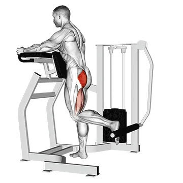 Lever Standing Hip Extension