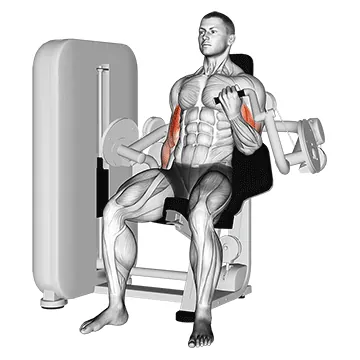 Lever Alternate Biceps Curl