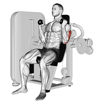 Lever Triceps Extension