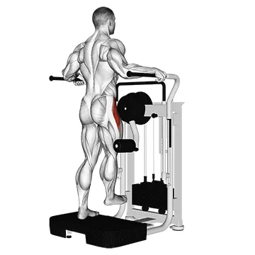 Lever Side Hip Abduction