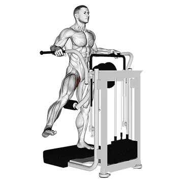 Lever Side Hip Adduction
