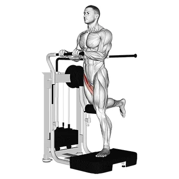 Lever Standing Leg Raise