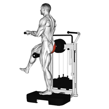 Lever Standing Rear Kick