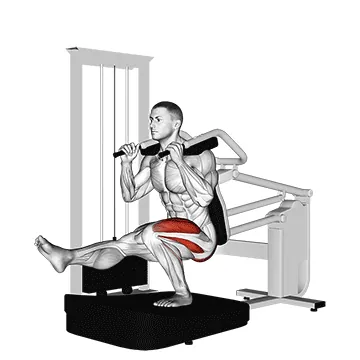 Lever Pistol Squat