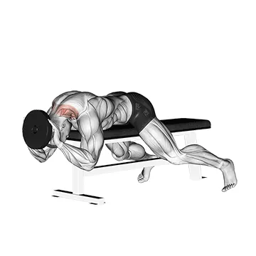 Weighted Lying Neck Extension