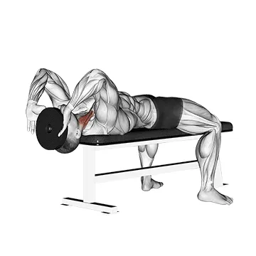 Weighted Lying Neck Flexion
