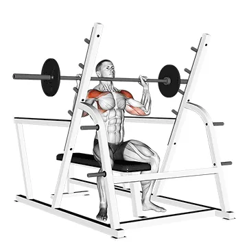 Barbell Seated Military Press (inside squat cage)