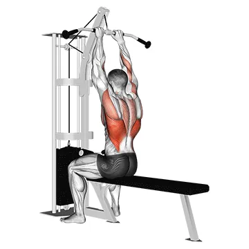 Cable Close Grip Front Lat Pulldown
