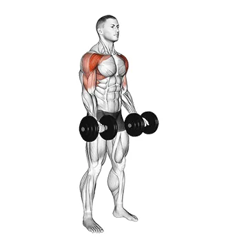 Dumbbell Underhand Front Raise
