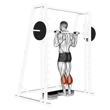 Smith Machine Calf Raise