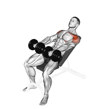 Dumbbell Incline Front Raise
