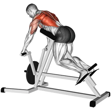 Lever Lying T bar Row
