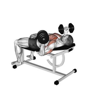 Dumbbell Incline Reverse-Grip Press