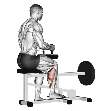 Lever Seated One Leg Calf Raise