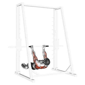 Underhand Grip Inverted Back Row