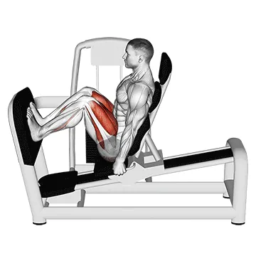Lever Seated Squat