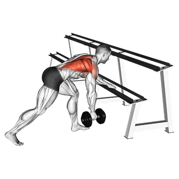 Dumbbell One-Arm Row (Rack Support)