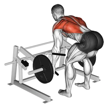 Lever Row (plate loaded)