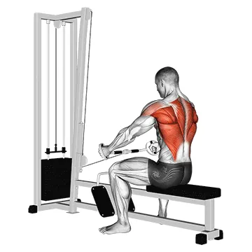 Cable Seated Row (Bent bar)