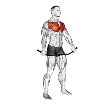 Chest and Front of Shoulder Stretch