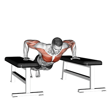 Drop Push Up