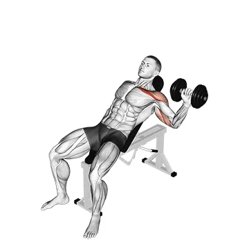 Dumbbell One-Arm Incline Chest Press