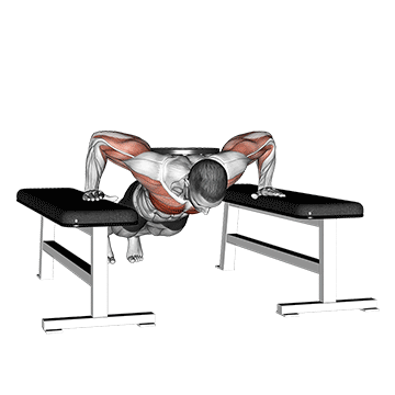 Weighted Drop Push Up