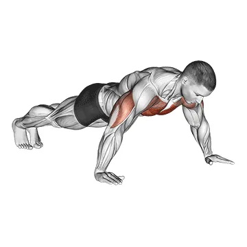 Wide Push Up