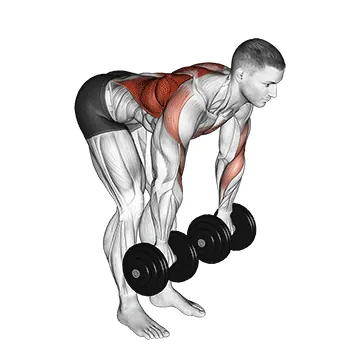Dumbbell Palm Rotational Bent-Over Row