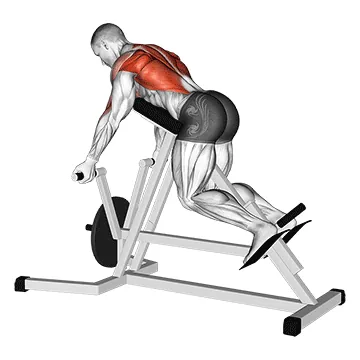 Lever Reverse T Bar Row