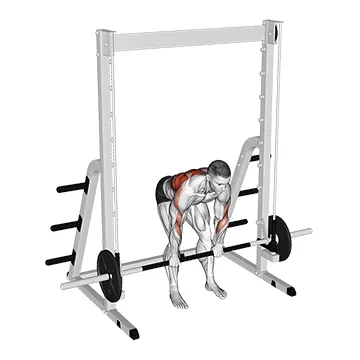 Smith Machine Bent Over Pronated Grip Row