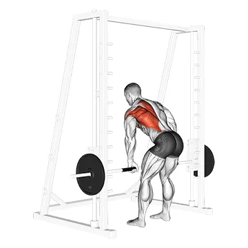 Smith Machine One Arm Row