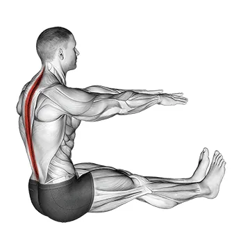 Spine Stretch