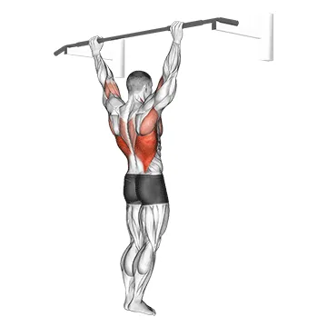 Wide Grip Rear Pull Up