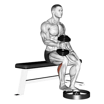 Dumbbell Seated One-Leg Calf Raise (Hammer Grip)