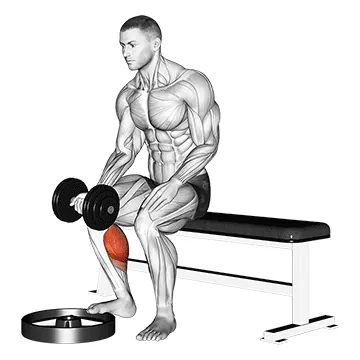 Dumbbell Seated One-Leg Calf Raise (Palm Up)