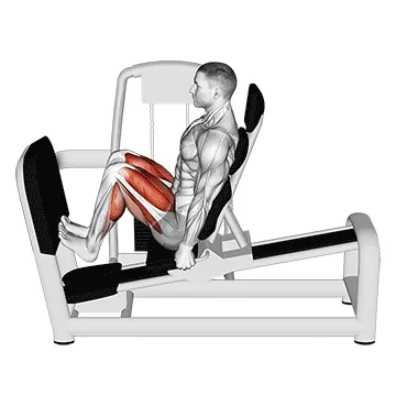 Leg Press Calf Raise