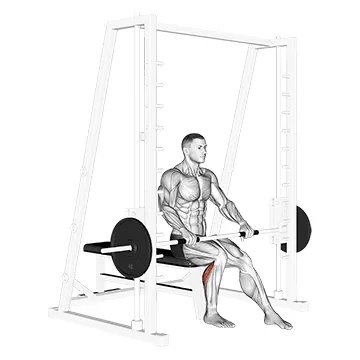 Smith Machine Seated One Leg Calf Raise
