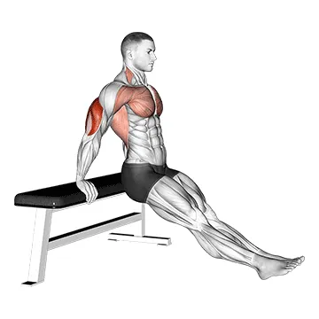 Bench Dip