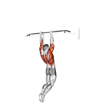 Muscle up (on vertical bar)