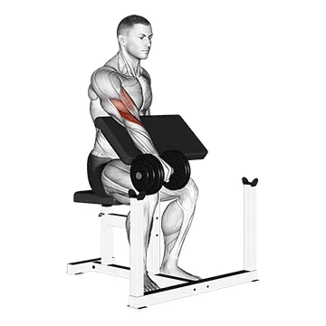 Dumbbell One-Arm Reverse Preacher Curl