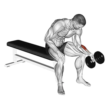 Dumbbell One-Arm Seated Neutral Wrist Curl