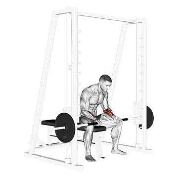 Smith Machine Seated Wrist Curl