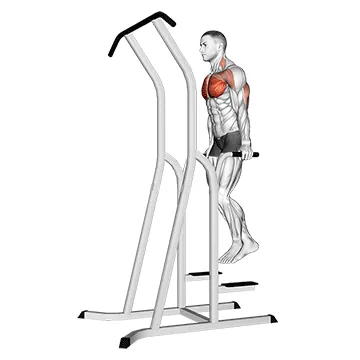 Chest Dip (on dip pull up cage)