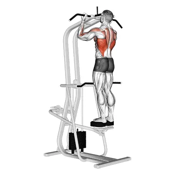 Lever Assisted Standing Chin Up