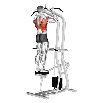 Assisted Standing Pull Up