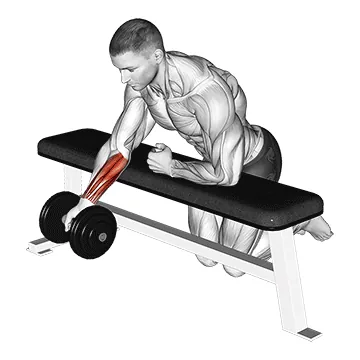 Dumbbell Over-Bench One-Arm Reverse Wrist Curl