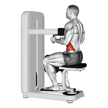 Lever Seated Twist