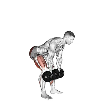 Dumbbell RDL