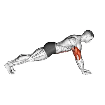 Push Up on Forearms